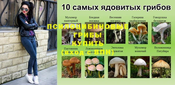марки lsd Алзамай