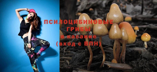 индика Алексеевка