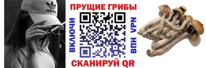 Галлюциногенные грибы MAGIC MUSHROOMS  ОМГ ОМГ как войти  Менделеевск 